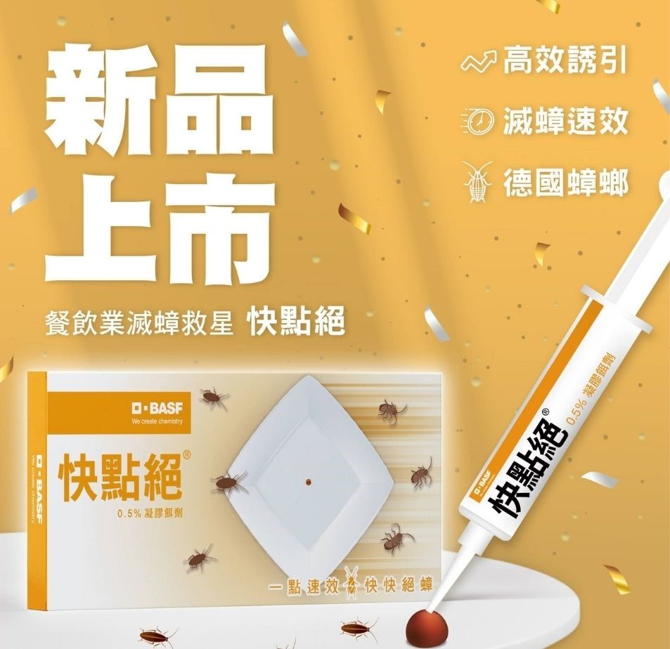 梅雨季 防治蟻群關鍵期！