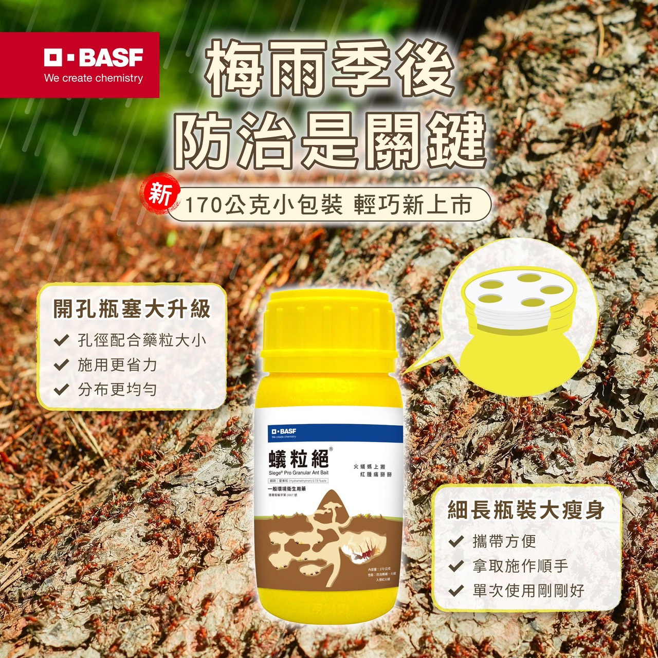 梅雨季，防治蟻群關鍵期！